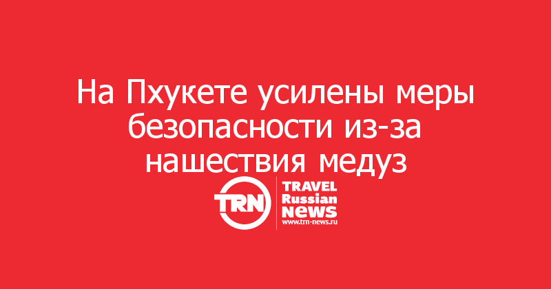 На Пхукете усилены меры безопасности из-за нашествия медуз

