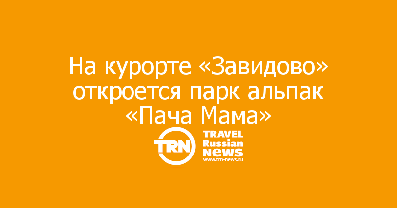 На курорте «Завидово» откроется парк альпак «Пача Мама»
