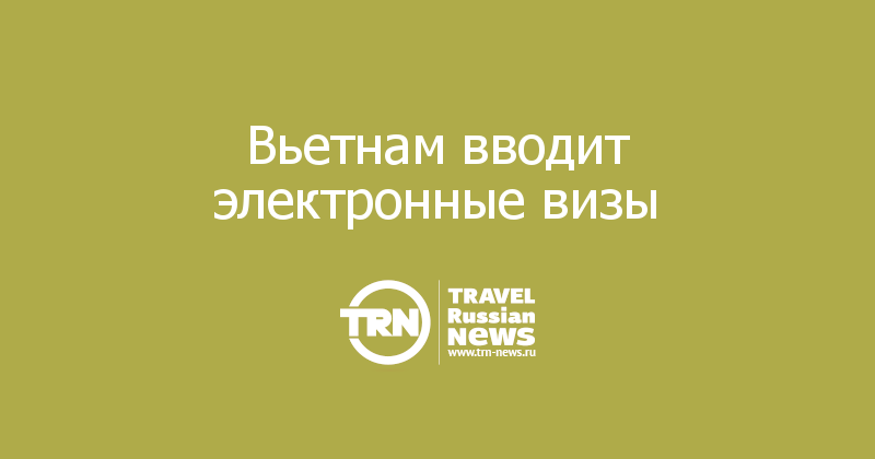 Вьетнам вводит электронные визы 
