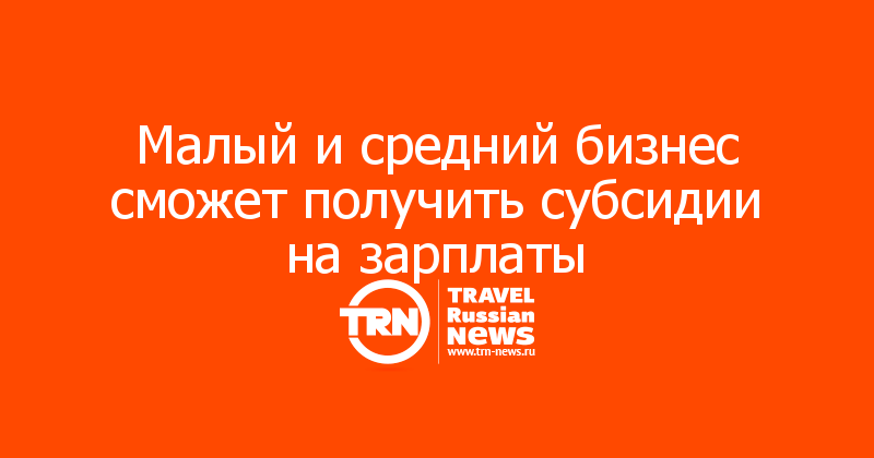 Малый и средний бизнес сможет получить субсидии на зарплаты 
